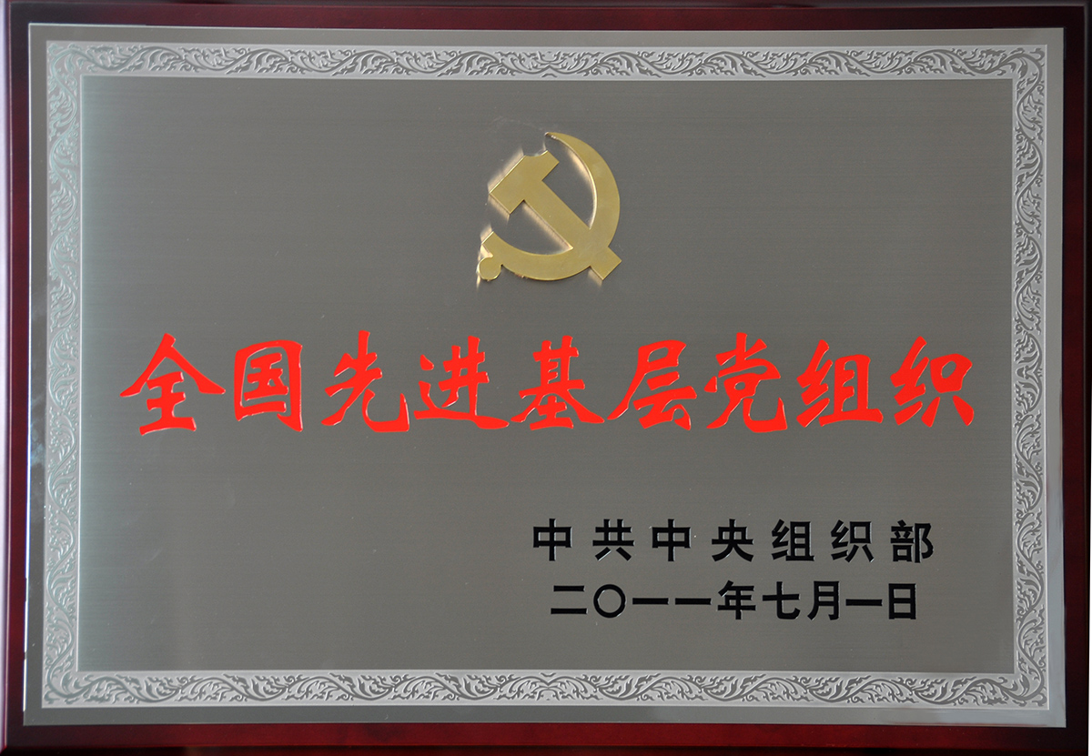 2011年7月，紅豆集團(tuán)黨委榮獲“全國(guó)先進(jìn)基層黨組織”稱號(hào)